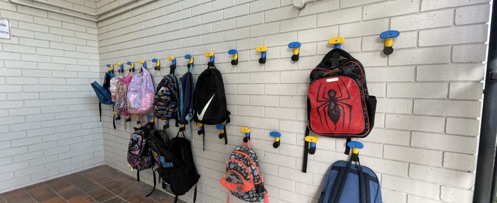 New Euro V2 Hooks installed directly to brickwork at Carole Park SS in Qld